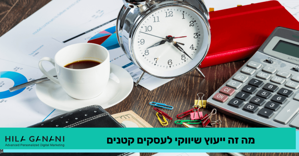 ייעוץ שיווקי לעסקים קטנים